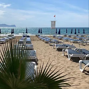 book here